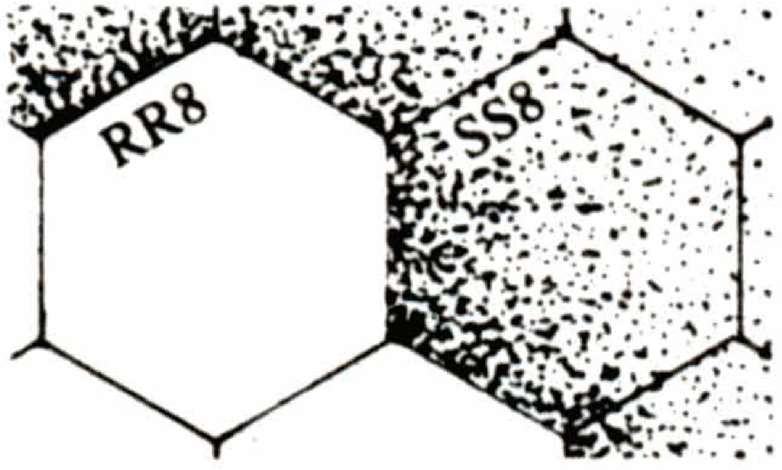 坡顶(Crest)